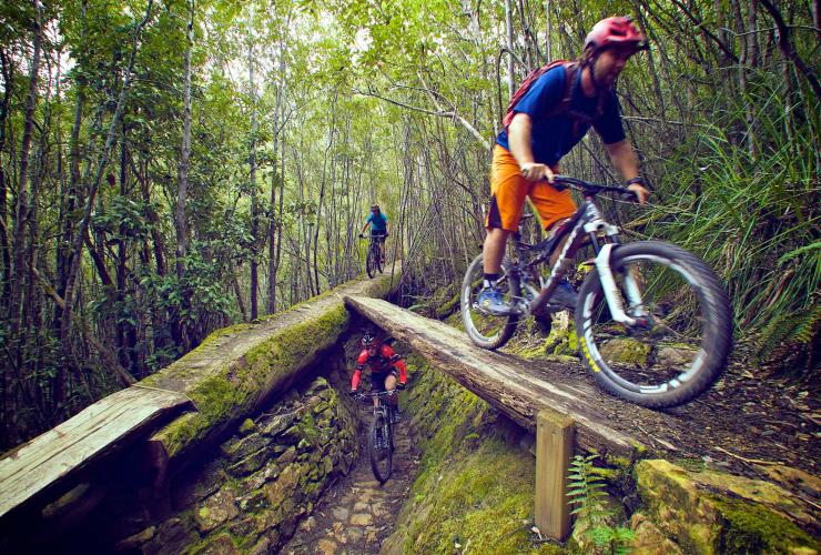 Nord-Süd-Strecke, Mount Wellington, Tasmanien © Tourism Tasmania, zur Verfügung gestellt mit freundlicher Genehmigung von Flow Mountain Bike Nord-Süd-Strecke, Mount Wellington, Tasmanien © Tourism Tasmania, zur Verfügung gestellt mit freundlicher Genehmigung von Flow Mountain Bike