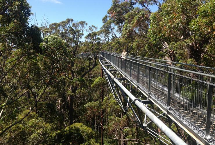 Valley of the Giants Tree Top Walk, Walpole-Nornalup National Park, Westaustralien © Tourism Australia Valley of the Giants Tree Top Walk, Walpole-Nornalup National Park, Westaustralien © Tourism Australia