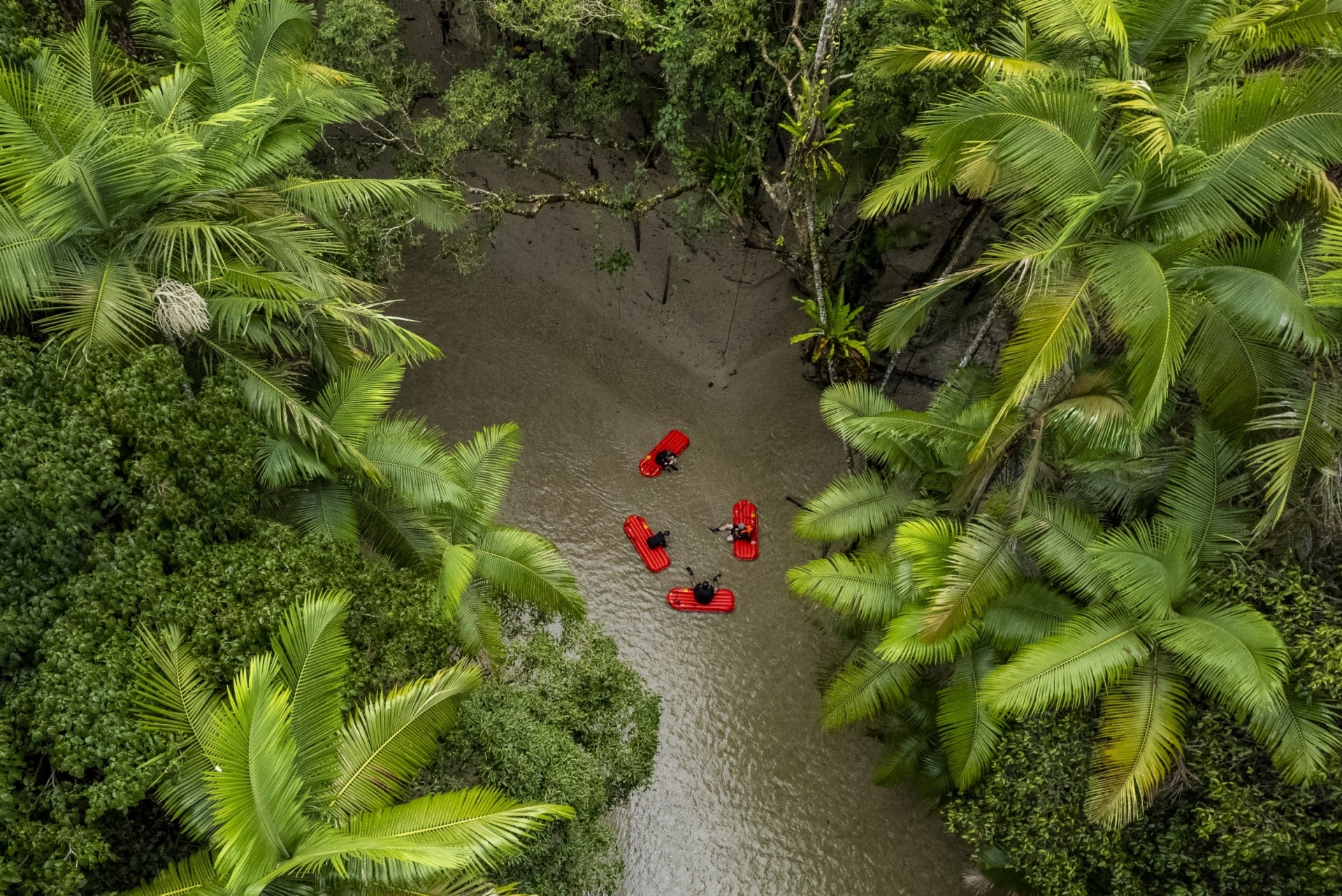 Back Country Bliss Adventures, Daintree Rainforest, Queensland © Tourism and Events Queensland