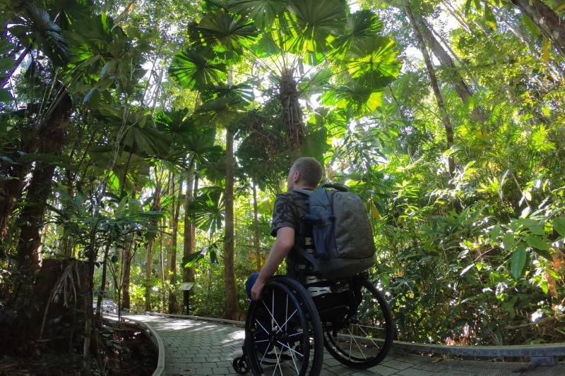 Man in a wheelchair looking up at the canopy of the Daintree Rainforest in Queensland © Tourism and Events Queensland Man in a wheelchair looking up at the canopy of the Daintree Rainforest in Queensland © Tourism and Events Queensland