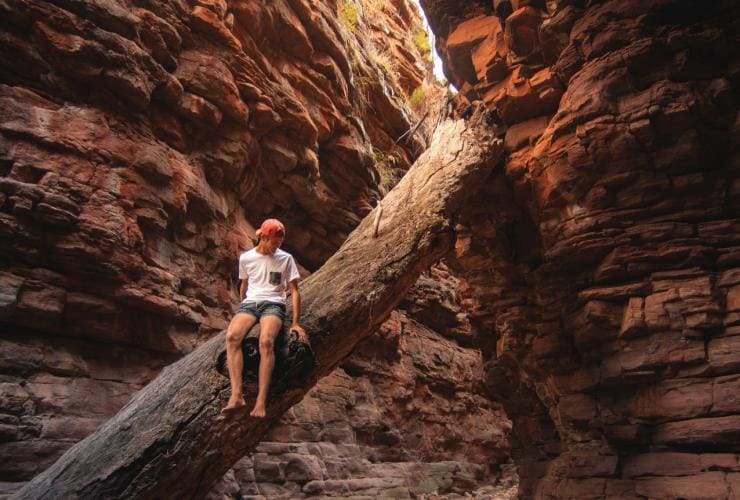 Alligator Gorge, Flinders Ranges, SA © Mitchell Toft Alligator Gorge, Flinders Ranges, SA © Mitchell Toft