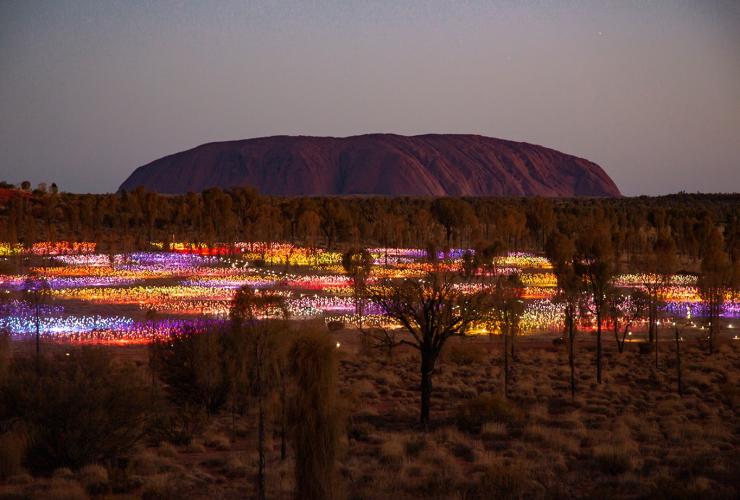 Field of Light, Uluṟu-Kata Tjuta National Park, NT © Tourism Australia