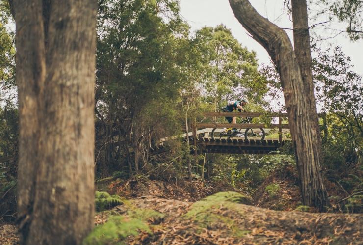 Penguin MTB Park, Penguin, TAS © Flow Mountain Bike Penguin MTB Park, Penguin, TAS © Flow Mountain Bike