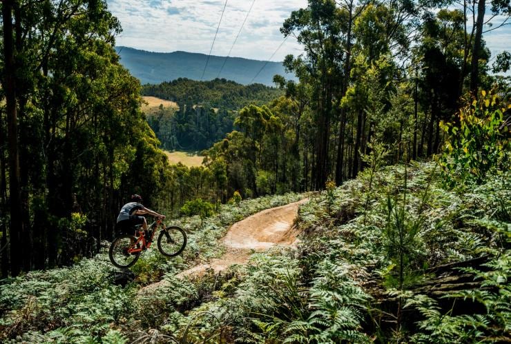 Wild Mersey Mountain Bike Trails, Latrobe, TAS © Revolution MTB Wild Mersey Mountain Bike Trails, Latrobe, TAS © Revolution MTB
