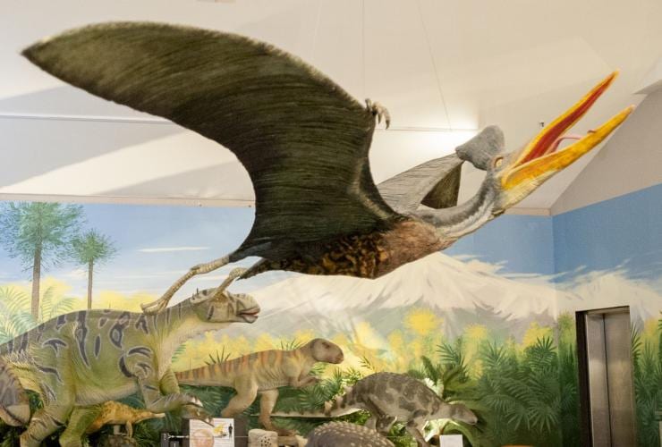 National Dinosaur Museum, Canberra, ACT © VisitCanberra National Dinosaur Museum, Canberra, ACT © VisitCanberra