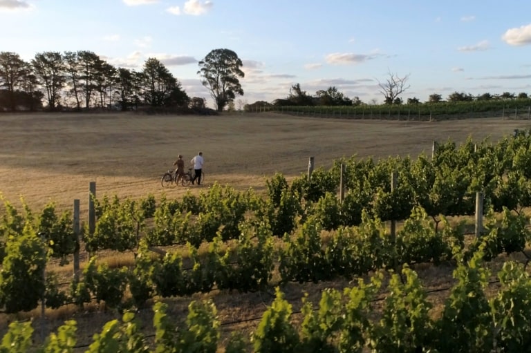 A couple of people take a walk with their bikes alongside Clonakilla vineyard, Murrumbateman, New South Wales © Destination NSW A couple of people take a walk with their bikes alongside Clonakilla vineyard, Murrumbateman, New South Wales © Destination NSW