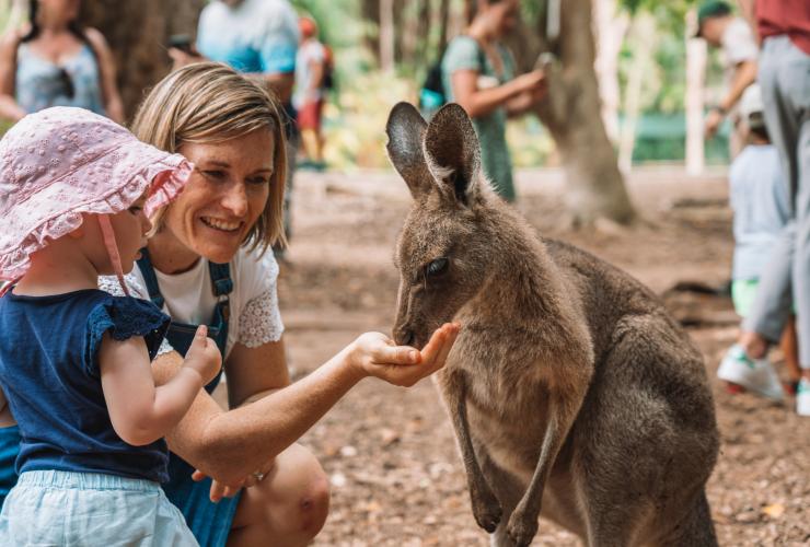 Australia Zoo, Sunshine Coast, QLD © Tourism and Events Queensland Australia Zoo, Sunshine Coast, QLD © Tourism and Events Queensland