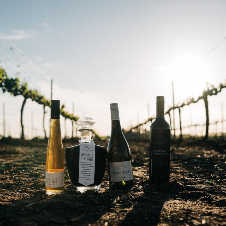 Vineyard grounds of Olive Farm Wines, Swan Valley WA © Boomtown Pictures Vineyard grounds of Olive Farm Wines, Swan Valley WA © Boomtown Pictures