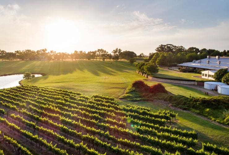 Sandalford Winery in the Swan Valley © Joel Barbitta DMAX Photography Sandalford Winery in the Swan Valley © Joel Barbitta DMAX Photography