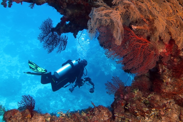 Holmes Reef with Mike Ball Dive Expeditions, Great Barrier Reef, QLD © Deborah Dickson-Smith Holmes Reef with Mike Ball Dive Expeditions, Great Barrier Reef, QLD © Deborah Dickson-Smith