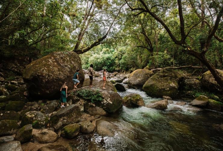 Dreamtime Walk, Gorges de Mossman, Daintree National Park, Queensland © Tourism and Events Queensland Dreamtime Walk, Gorges de Mossman, Daintree National Park, Queensland © Tourism and Events Queensland