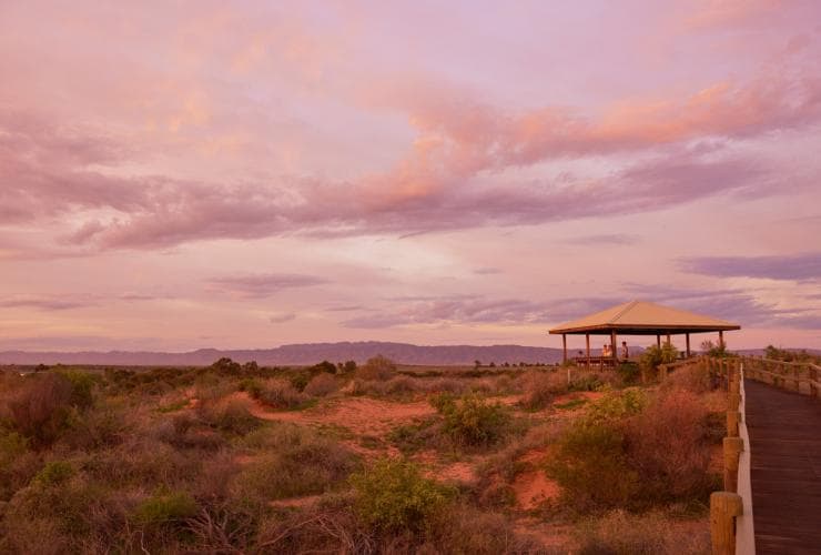 Arid Lands National Park, Port Augusta, SA © South Australian Tourism Commission Arid Lands National Park, Port Augusta, SA © South Australian Tourism Commission