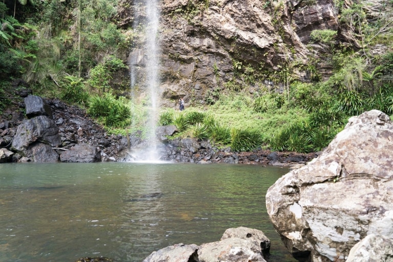 Twin Falls, Springbrook National Park, Queensland © Michael Taylor-Thomas Twin Falls, Springbrook National Park, Queensland © Michael Taylor-Thomas