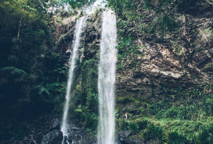 Twin Falls, Springbrook National Park, Queensland © Tourism and Events Queensland Twin Falls, Springbrook National Park, Queensland © Tourism and Events Queensland
