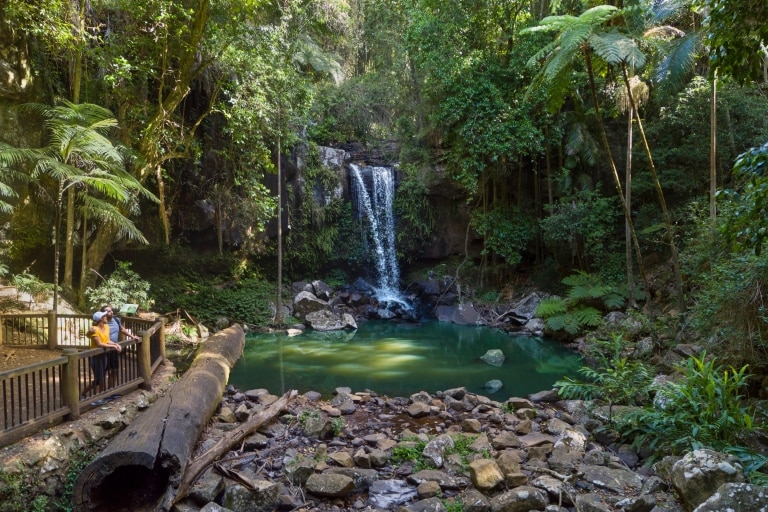 Pasangan memandang air terjun Curtis Falls di Tamborine National Park © Destination Gold Coast Pasangan memandang air terjun Curtis Falls di Tamborine National Park © Destination Gold Coast