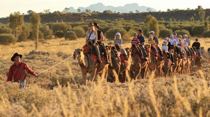 北領地烏魯魯-卡塔丘塔國家公園的駱駝之旅ṟṟ©Uluru Photography 北領地烏魯魯-卡塔丘塔國家公園的駱駝之旅ṟṟ©Uluru Photography
