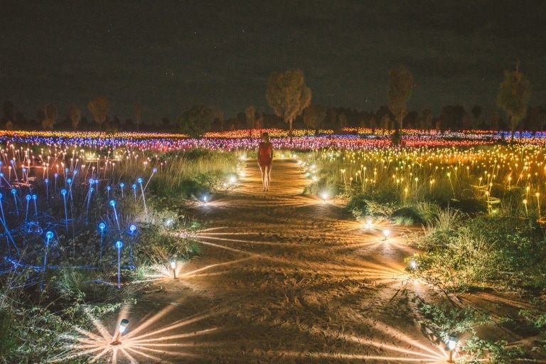 旅客遊覽「原野星光展」藝術裝置©北領地旅遊局/Mitchell Cox 旅客遊覽「原野星光展」藝術裝置©北領地旅遊局/Mitchell Cox