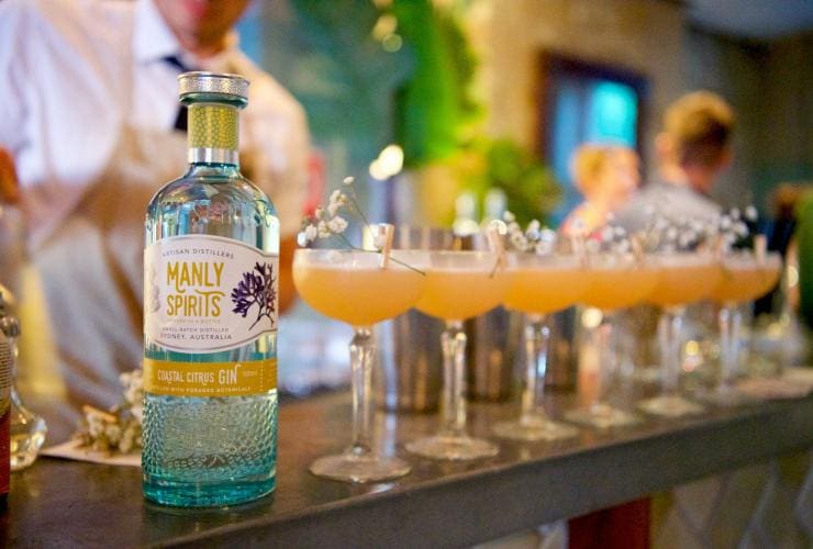 Eine Flasche Coastal Citrus Gin steht auf dem Tresen neben einer Reihe von frisch zubereiteten Cocktails, Manly Spirits Co., Manly, New South Wales © Martin Vivian Pearse