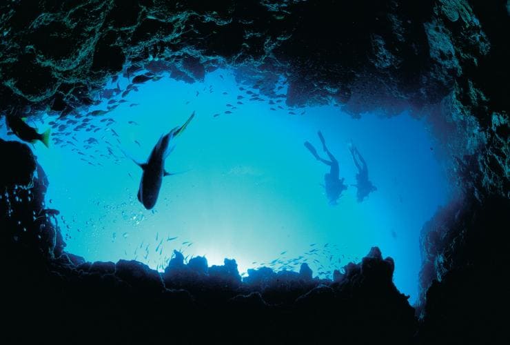 Diving, Ningaloo Reef, Western Australia © Tourism Western Australia
