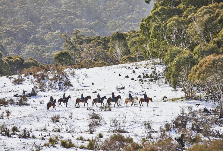 A line of people riding horses through snow-covered bushland with Thredbo Valley Horseriding, Snowy Mountains, New South Wales © Tourism Australia