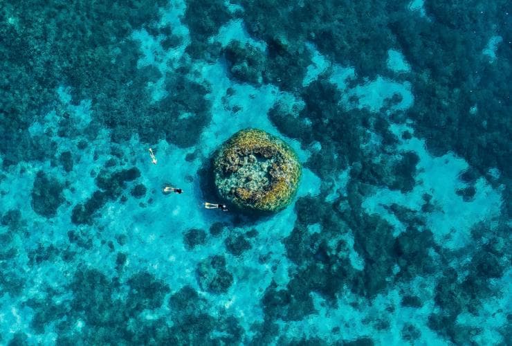 Wilson Island, Great Barrier Reef, QLD © Tourism and Events Queensland