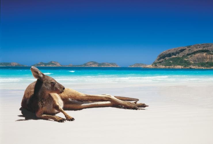 Lucky Bay, Cape Le Grand National Park, Esperance, Western Australia © Tourism Australia