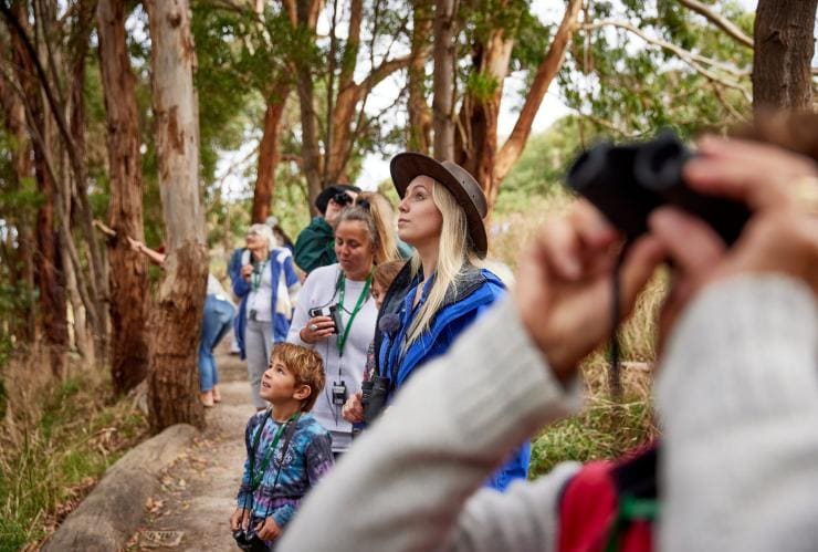 A group of people gazing up into the treetops on a tour with Wildlife Wonders, Great Ocean Road, Victoria © Tourism Australia