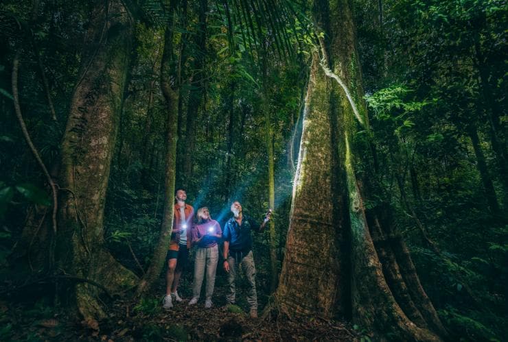 Two people with a tour guide shining torches in a rainforest at night with FNQ Nature Tours, Daintree Rainforest, Queensland © Tourism and Events Queensland 