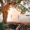Paddleboarding, Noosa, QLD © Tourism and Events Queensland