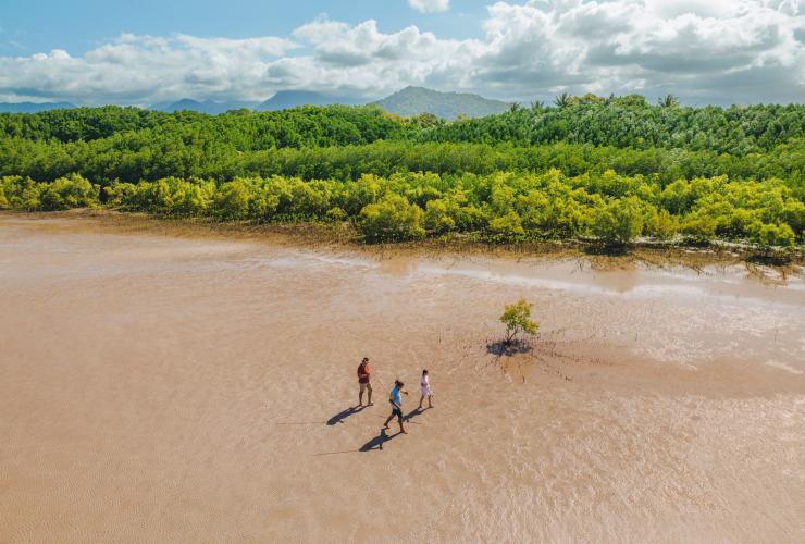 Aerial view of three people walking along mudflats with spears and lush greenery in the distance with Walkabout Cultural Adventures, Port Douglas, Queensland © Tourism Australia 