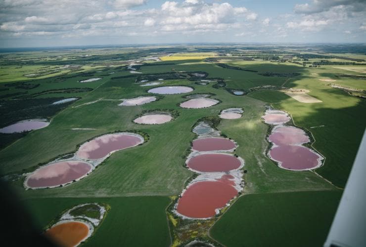 Aerial view from aboard a scenic flight overlooking the series of Pink and Rainbow Lakes spread across grassy pastures in the Golden Outback, Western Australia © Golden Outback
