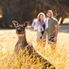 Sea Dragon Lodge and Villas, Kangaroo Island, SA © Tourism Australia