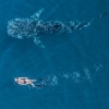 Ningaloo Reef, Coral Coast, Western Australia © Tourism Western Australia