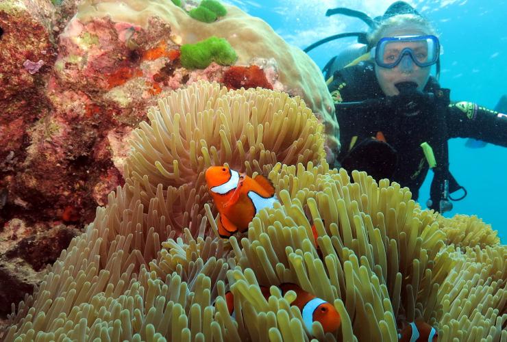 Poseidon Cruises, Agincourt Reef, Great Barrier Reef, Queensland © Quicksilver Group