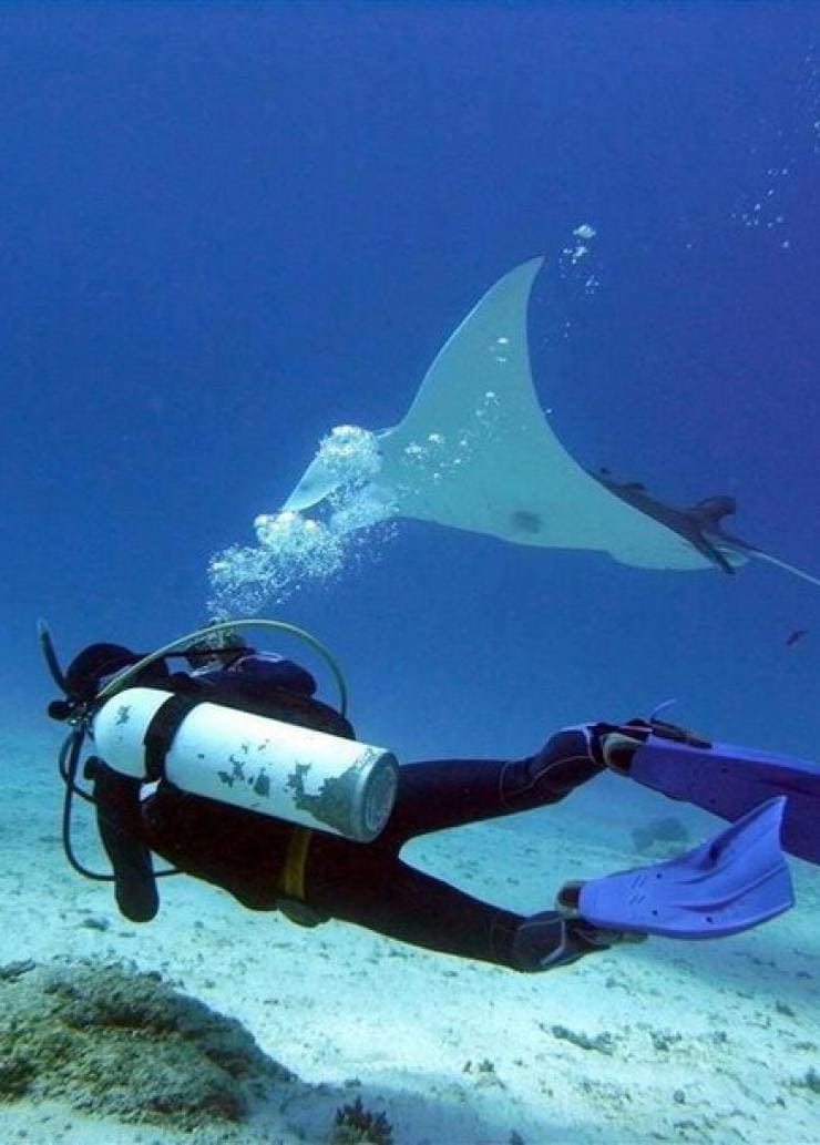 Lady Elliot Island Eco Resort, Queensland © Lady Elliot Island Eco Resort