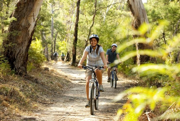 People cycling along a pathway through a green forest in the Grampians, Victoria © Visit Victoria 