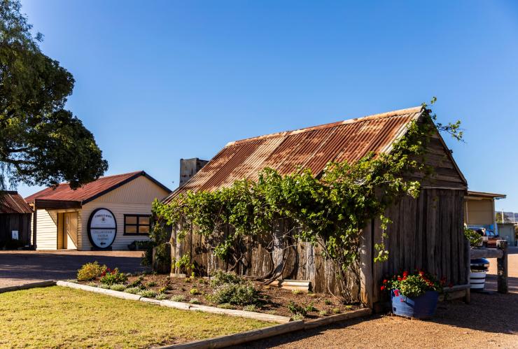 Tyrrell's Wines, Hunter Valley, New South Wales © Destination NSW