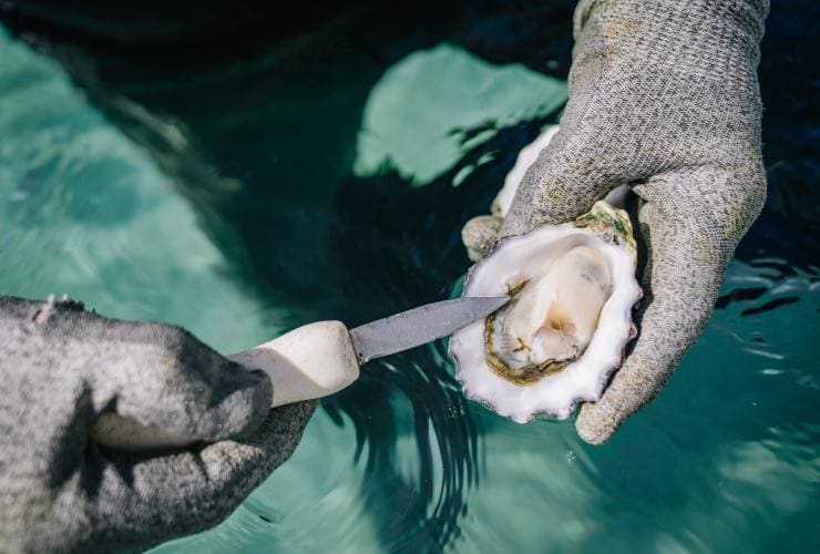 Experience Coffin Bay, Eyre Peninsula, Australie du Sud © City of Port Lincoln/ Kinship Productions