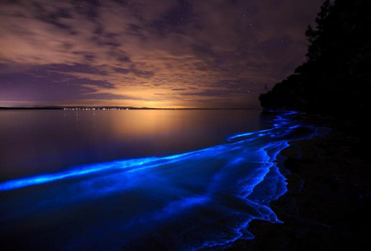 Bioluminescence, Jervis Bay, Nouvelle-Galles du Sud © Maree Clout, Destination NSW