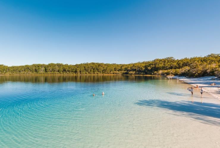 Des personnes nageant dans les eaux bleues étincelantes du Lake McKenzie et se prélassant sur la plage de sable blanc bordée de verdure à K'gari, Queensland © Tourism and Events Queensland