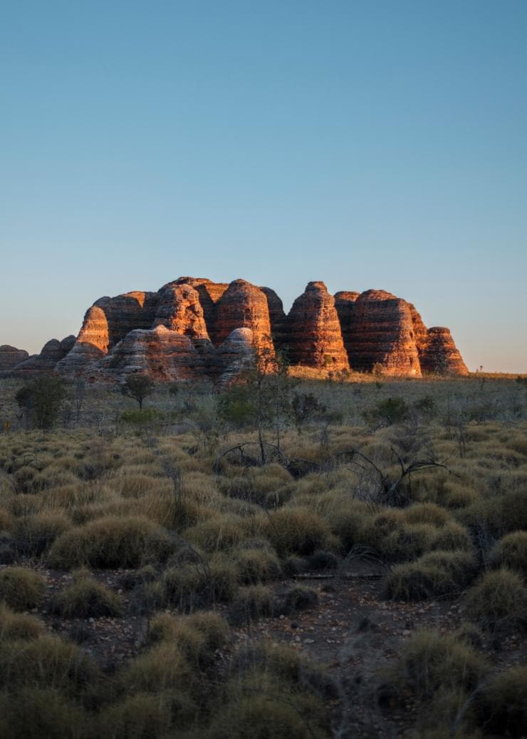 Une plaine herbeuse au premier plan avec le groupement des dômes rocheux rouges de la chaîne des Bungle Bungle au loin, scintillant au coucher du soleil, Purnululu National Park, Australie Occidentale © Tourism Western Australia