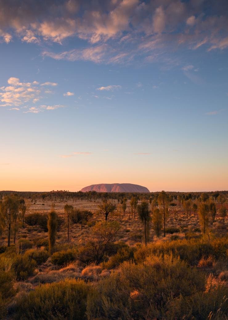 Une plaine herbeuse au premier plan menant au monolithe de roche rouge d'Uluru lors du coucher du soleil, Uluru-Kata Tjuta National Park, Territoire du Nord © Tourism Australia