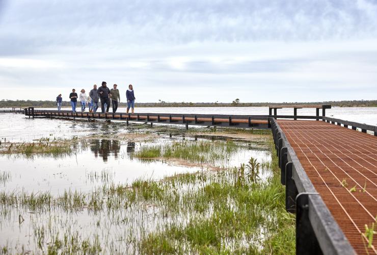 Sekelompok orang sedang berjalan di sebuah jalur di atas lahan basah bersama pemandu lokal Aborigin di Budj Bim Cultural Landscape Tourism, Great Ocean Road, Victoria © Tourism Australia
