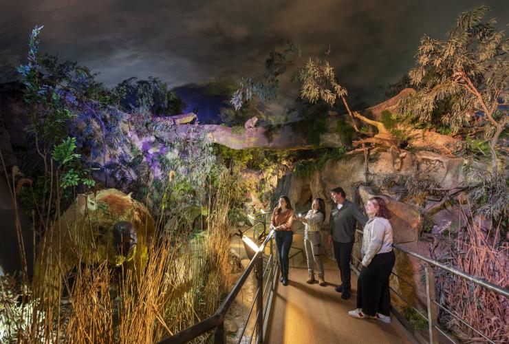 Sekelompok pengunjung menjelajahi jalan masuk Naracoorte Caves di malam hari, Naracoorte, South Australia © Tourism Australia