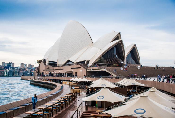 Pemandangan diarahkan melewati beberapa payung dan meja, menuju ke arah bangunan Sydney Opera House dengan bentuk atapnya yang seperti layar kapal, Sydney, New South Wales © Susan Kuriakose/Unsplash