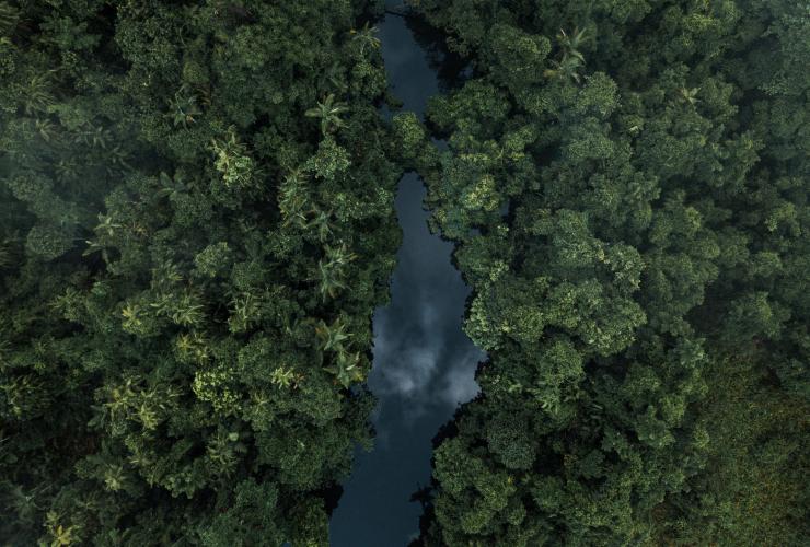 Pemandangan dari udara kanopi hijau Daintree Rainforest dengan aliran sungai yang berada di tengahnya, Queensland © Melissa Findley/Tourism Australia