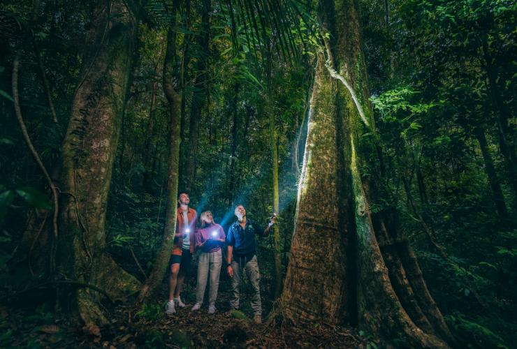 Dua orang sedang berdiri di hutan hujan saat malam hari bersama pemandu tur dari FNQ Nature Tours sambil mengarahkan senter ke atas pohon, Daintree Rainforest, Queensland © Tourism and Events Queensland