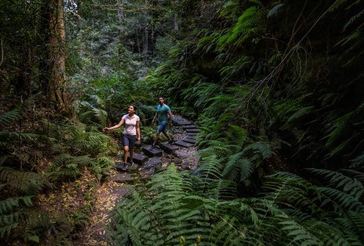 Dua orang berjalan di antara pepohonan, pakis, dan tumbuhan di Grand Canyon Walking Track, Blue Mountains, New South Wales © Destination NSW