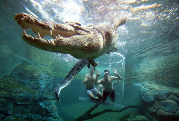 Crocosaurus Cove, Darwin, Northern Territory © Tourism NT/Shaana McNaught