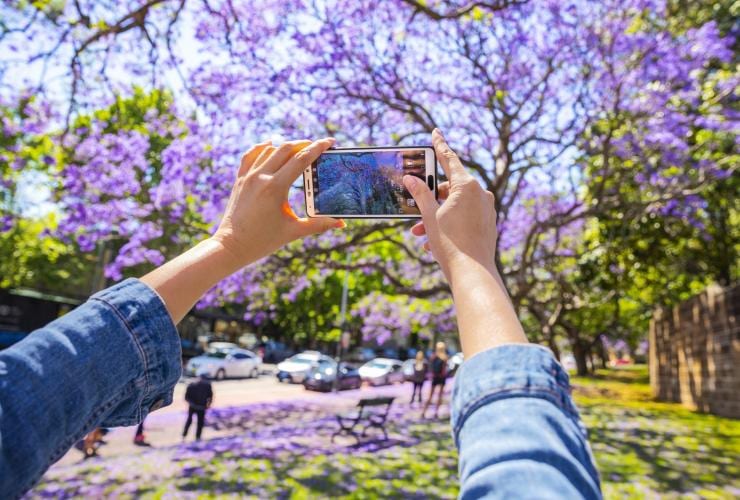 ニュー・サウス・ウェールズ州、シドニー、パディントン © Destination NSW